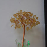 Wunschlicht-Lebensbaum