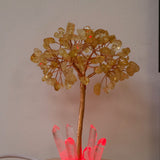 Wunschlicht-Lebensbaum