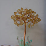 Wunschlicht-Lebensbaum