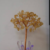 Wunschlicht-Lebensbaum