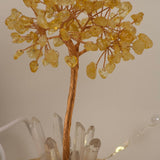 Wunschlicht-Lebensbaum