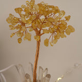 Wunschlicht-Lebensbaum